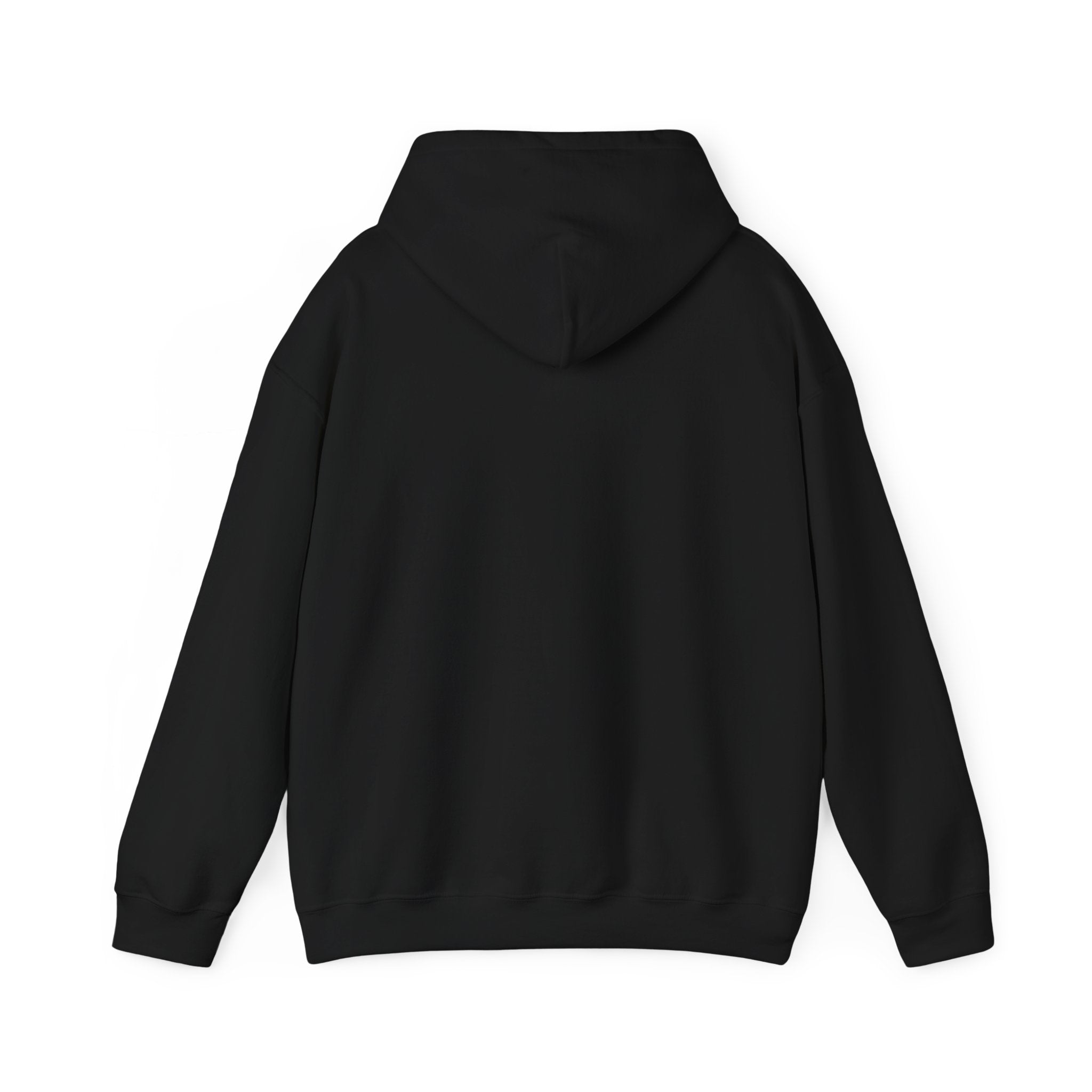 Respect the Locals bison badge Hoodie | Protect Our Parks, national parks, leave no trace