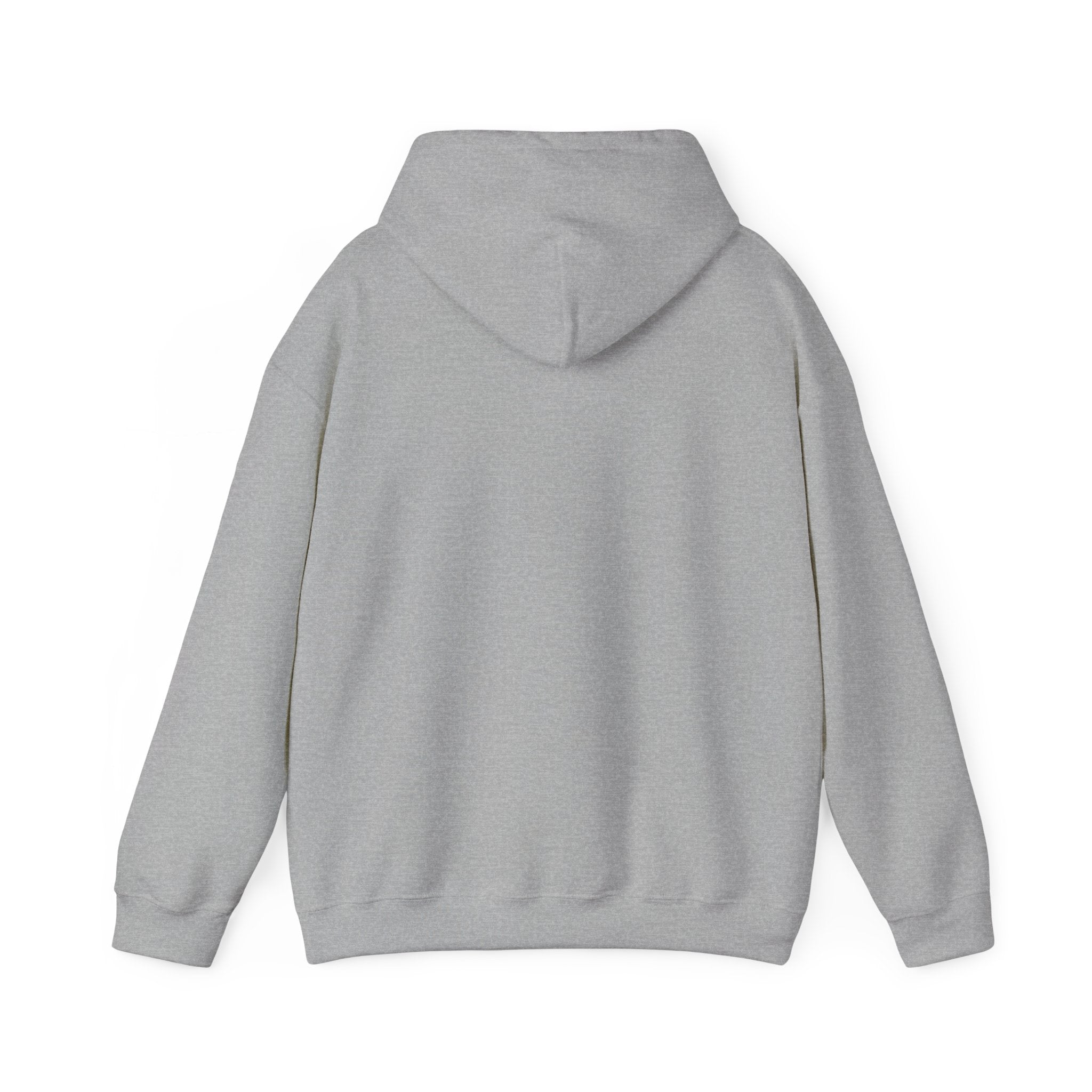 Respect the Locals bison badge Hoodie | Protect Our Parks, national parks, leave no trace